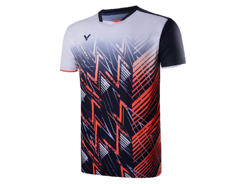 Saison (2024 / 2025)